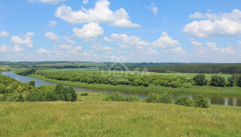 Участок №49